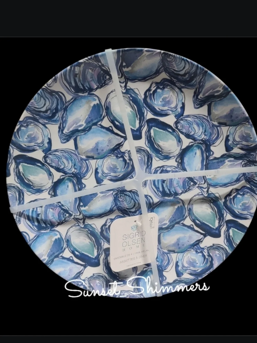 16pc Sigrid Olsen Melamine Oyster Dinner Pack ~ Plates Bowls Tumbler Cups New